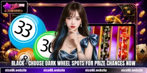 Black - Choose Dark Wheel Spots For Prize Chances Now