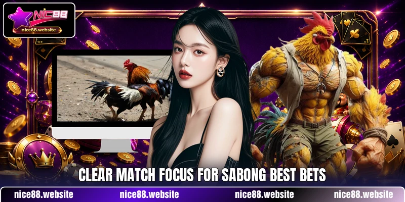 Clear match focus for Sabong Best Bets Clear match focus for Sabong Best Bets