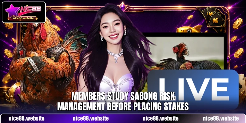 Members study Sabong Risk Management before placing stakes Members study Sabong Risk Management before placing stakes
