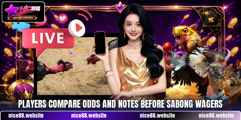 Players compare odds and notes before sabong wagers Players compare odds and notes before sabong wagers