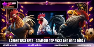 Sabong Best Bets - Compare Top Picks And Odds Today