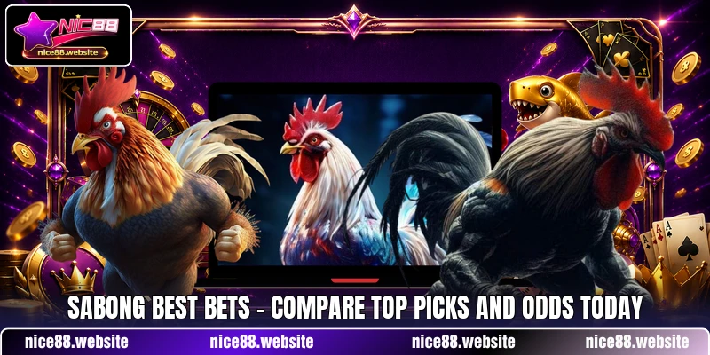 Sabong Best Bets - Compare Top Picks And Odds Today