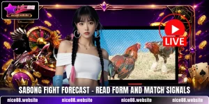 Sabong Fight Forecast - Read Form And Match Signals