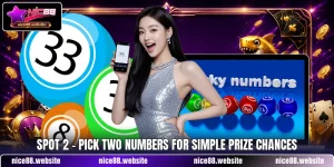 Spot 2 - Pick Two Numbers For Simple Prize Chances